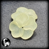 4 Blüten aus Acryl Viola gefrostet - gelb - 20mm